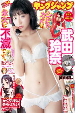 涛女郎电视剧全集52集